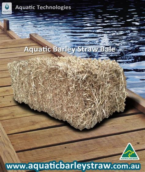 Aquatic Barley Straw Bales 20kg Aquatic Technologies