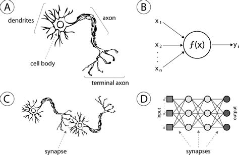 Each node, or artificial neuron, connects to another and has an associated weight and threshold. Everything You Need to Know About Artificial Neural ...