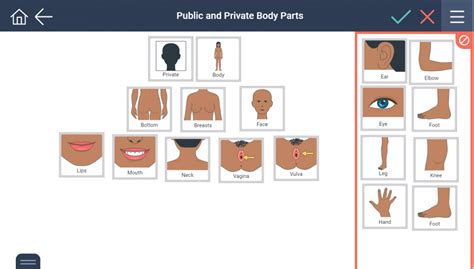 Public And Private Body Parts Secca