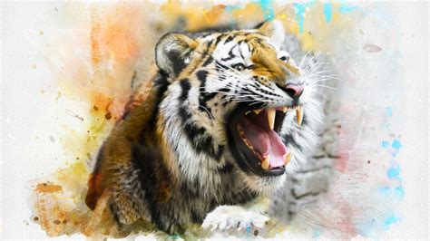 Tiger Splash Art 4k Wallpapers Hd Wallpapers Id 25904