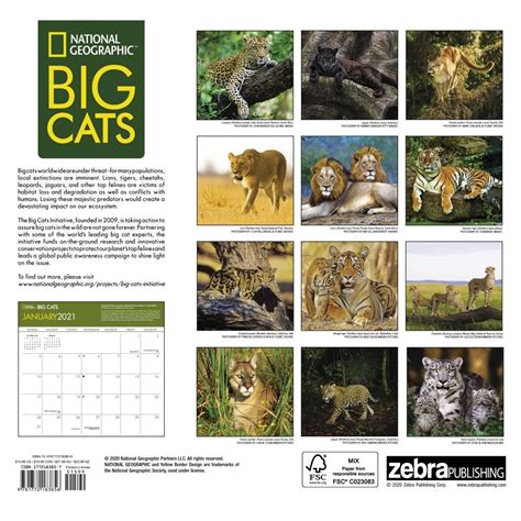 Big Cats National Geographic Wall Calendar
