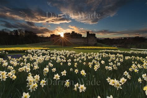 Sunset At Alnwick Castle Darryn Wade