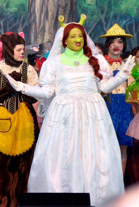 Fiona Wedding Dress Shrek Wedingq
