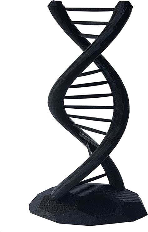 Amazon Com DNA Double Helix Science Gift 3D Printed Home Kitchen