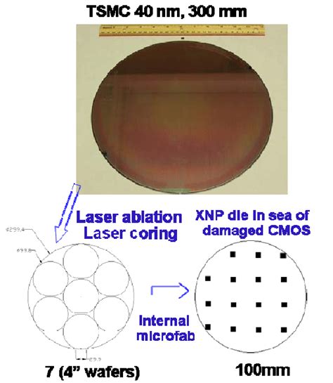 A Schematic Layout Of Original 300 Mm Wafer From Tsmc Further Laser