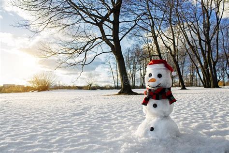 Smiling Snowman At Sunset Stock Image Image Of Nature 70530023