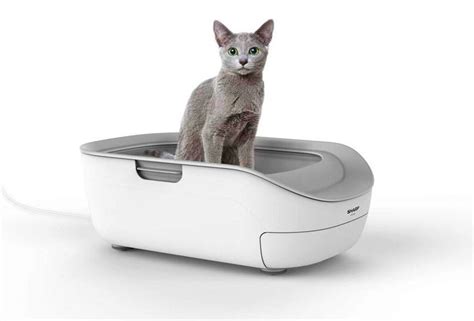 Smart Cat Litter Box Monitors Your Felines Health