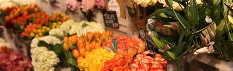 You can use their food locator to find sites closest to you. San Rafael Store | Whole Foods Market | Whole food recipes ...