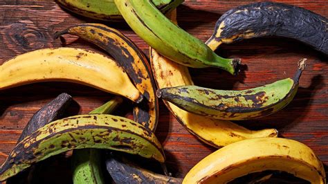 How To Cook Plantains Inspiration From You