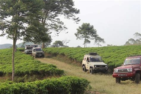 Four Vehicles Driving Down A Dirt Road In The Middle Of A Green Field