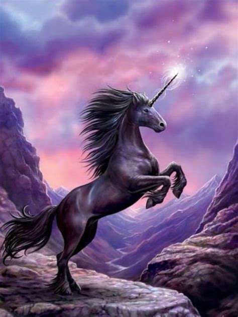 Anne Stokes Unicorn And Fairies Mythical Creatures Fantasy Creatures