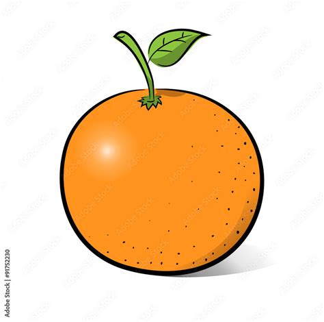 Orange A Hand Drawn Vector Illustration Of An Orange The Sketch Main
