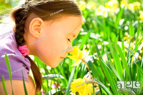 Portrait Of A Cute Little Girl Smelling Flowers Stock Photo Picture