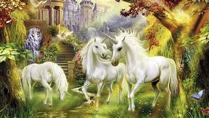 Unicorn Unicorns Backgrounds Desktop Background Fantasy Land