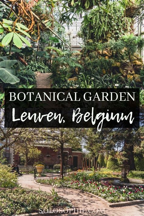 Kruidtuin Leuven The Oldest Botanical Garden In Belgium Solosophie