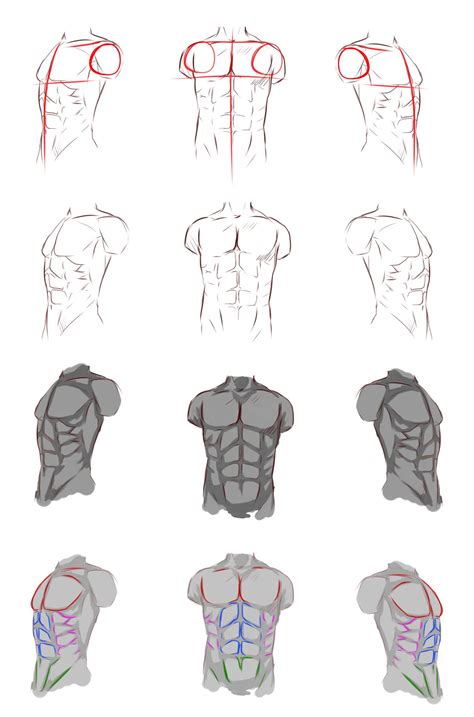 Male Anatomy By Ryky On Deviantart Guy Drawing Anatomy Drawing Human Body Art