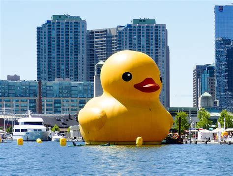 See The Giant Rubber Duck That Waddled Into Toronto To Celebrate Canada
