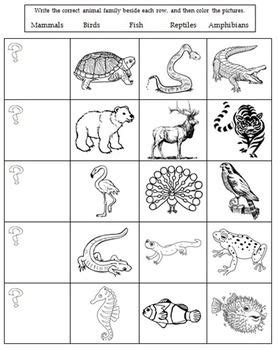 With also birds (parrots, peacocks.), turtles, frogs, foxes. Animal Classification Worksheet | Animal classification ...