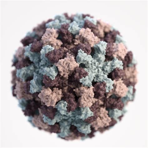 It passes easily through direct or indirect contact with an infected person. Norovirus GII.4 VLP - The Native Antigen Company
