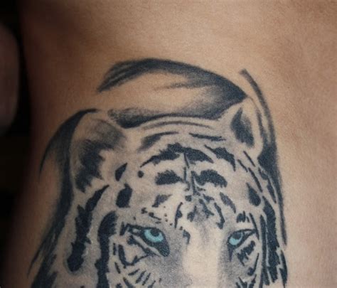 White Tiger With Blue Eyes Tattoo Wallpapers Gallery Hd Tattoo Design