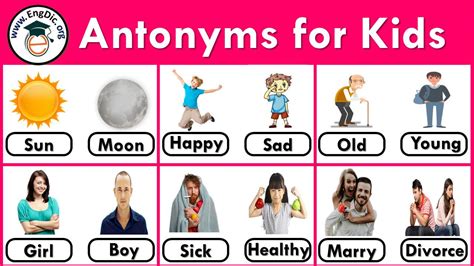 All Antonyms For Kids Archives Engdic