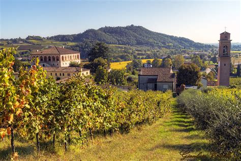 Torreglia Arte Cultura E Gastronomia Euganeamente Colli Euganei