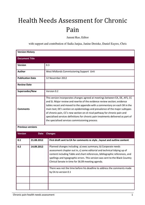 Chronic Pain Health Needs Assessment Report Version 0 3 By Jammi N Rao