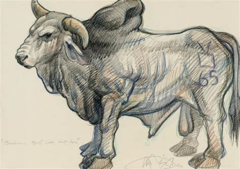 Brahma Bull With Bent Horn Smithsonian American Art Museum