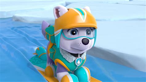 Everest Paw Patrol Photo 40716955 Fanpop