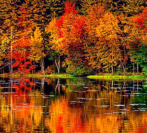 New Hampshire Fall Foliage Wallpaper