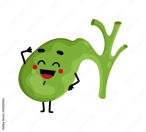 Human Gallbladder Cute Cartoon Character Body Anatomy Element Health