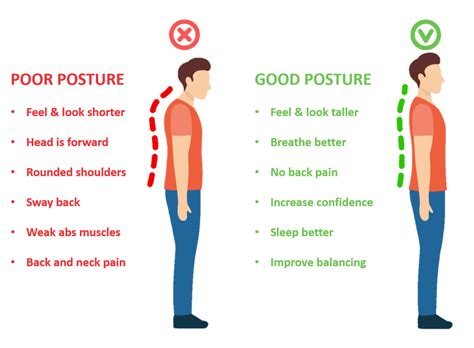 Which Posture Are You Physiomed