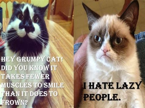 Me Too And Happy Peeps Just Not Right Grumpy Cat Humor Funny Character