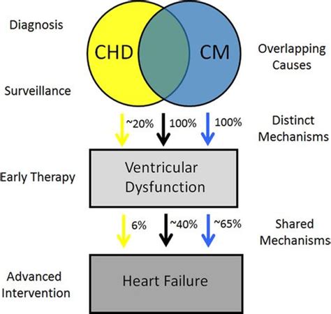 Heart Failure In Pediatric Patients With Congenital Heart Disease