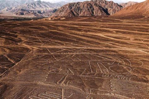 7 Nazca Lines Drawings Details Meaning And History