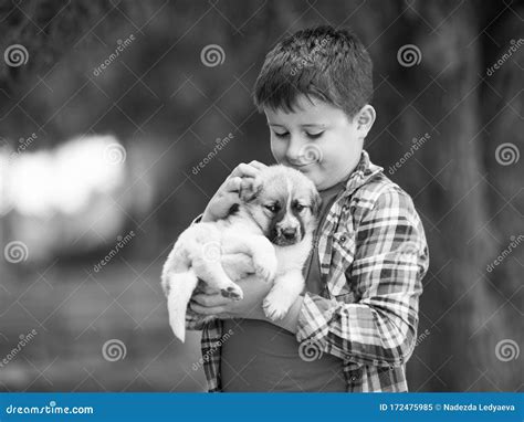 Child Is Hugging A Little Puppy Kids Love Animals Stock Image Image