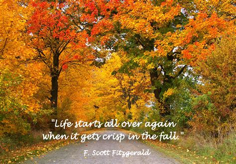 Fall cover photos fall facebook cover photos facebook profile picture facebook timeline covers fall leaves pictures fall pictures timeline cover photos cover wallpaper cover photo quotes more information. 13 Beautiful Fall Quotes | Writing With Life In Mind
