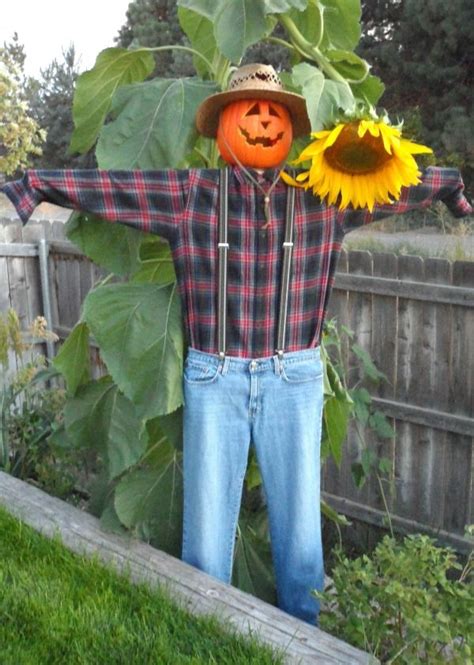 Easy Inexpensive Diy Scarecrow You Can Use Year After Year To Decorate