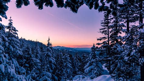 Hình Nền Winter Wonderland 4k Top Những Hình Ảnh Đẹp