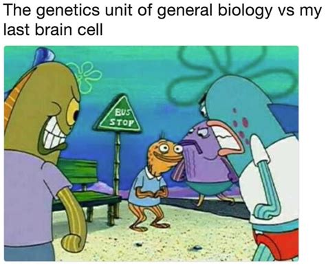The Genetics Unit Of General Biology Vs My Last Brain Cell My Last