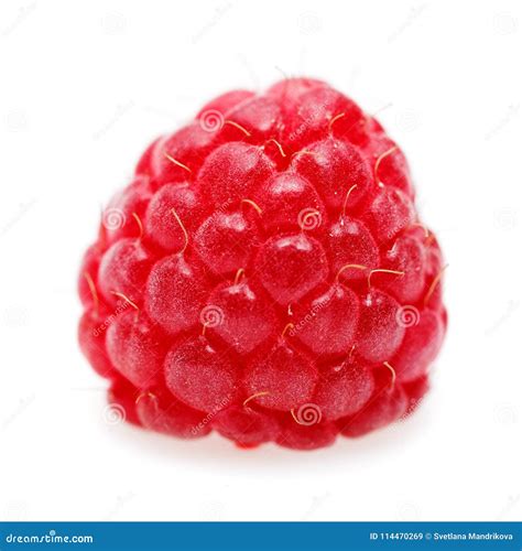 Raspberry Berry Macro Shot Isolated On White Stock Image Image Of