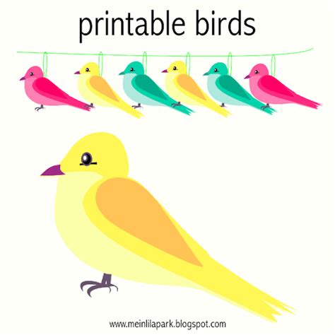 Free Printable Bright Colored Birds And Digital Borders Vogel