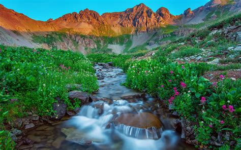 Usa Silverton Colorado Morgen Berge Sommer Strom Steine Blumen