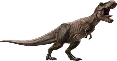 Indoraptor Jurassic Park Wiki Fandom Powered By Wikia Dinosaurios Tiranosaurio
