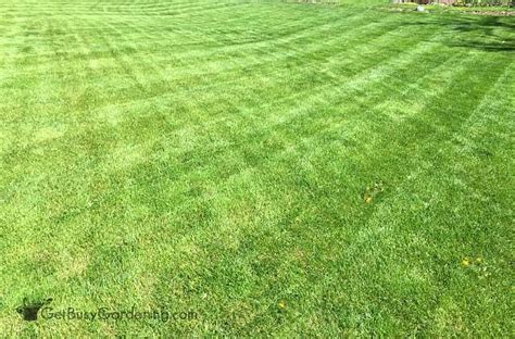 Lawn Mowing Patterns Cut Grass Like Pro Kelseybash Ranch 73572