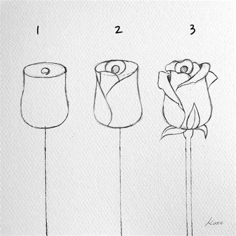 How To Draw Roses With Pencils In Stages And Then Using Markers On The