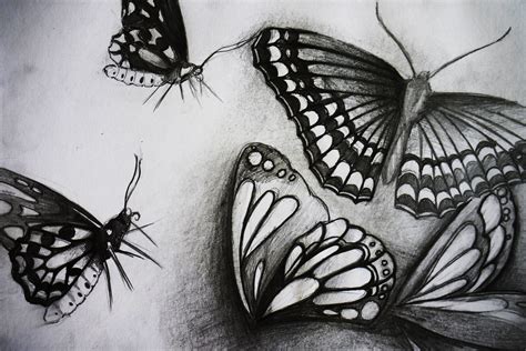 Butterfly Pencil Drawing Best Images About Butterfly On Pinterest