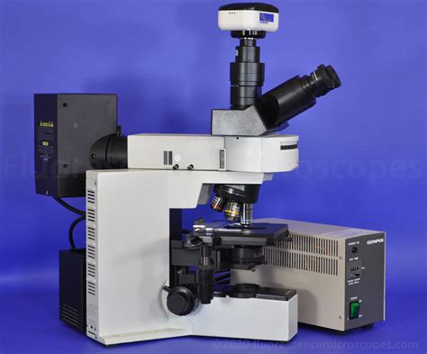 Fluorescence Microscopes Olympus Bx50 Upright Fluorescence Microscope