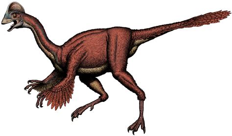 Volcano Madness Geology2 New Chicken From Hell Feathered Dinosaur Found In Dakotas