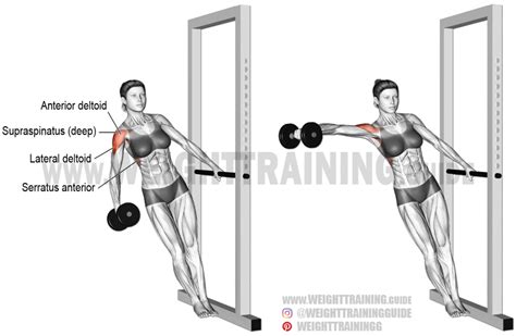 Leaning Dumbbell Lateral Raise Exercise Instructions And Videos